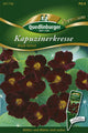 Quedlinburger Kapuzinerkresse Black Velvet