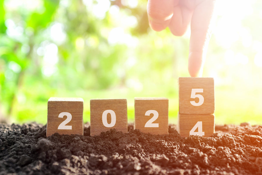 Die besten Vorsätze für dein neues Gartenjahr 2025