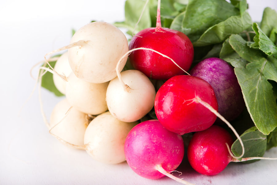 Radieschen Easter Egg Mischung – Bunte Vielfalt entdecken