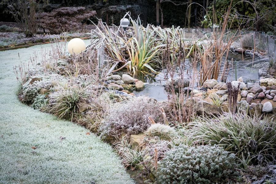 Winterschutz Gartenteich: Was du wissen musst