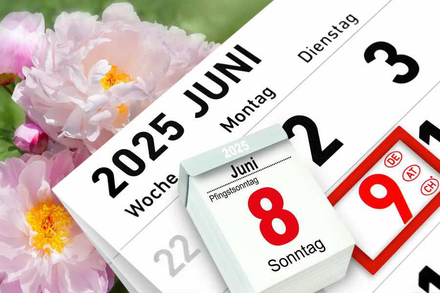 Pflanzkalender Juni – Dein Guide für erfolgreiches Gärtnern