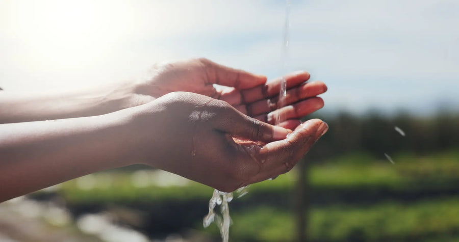 Hände werden nach der Gartenarbeit mit Wasser gereinigt.