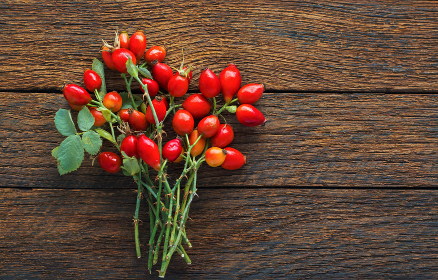 Hagebutten: Alles über die Wildrosenfrucht