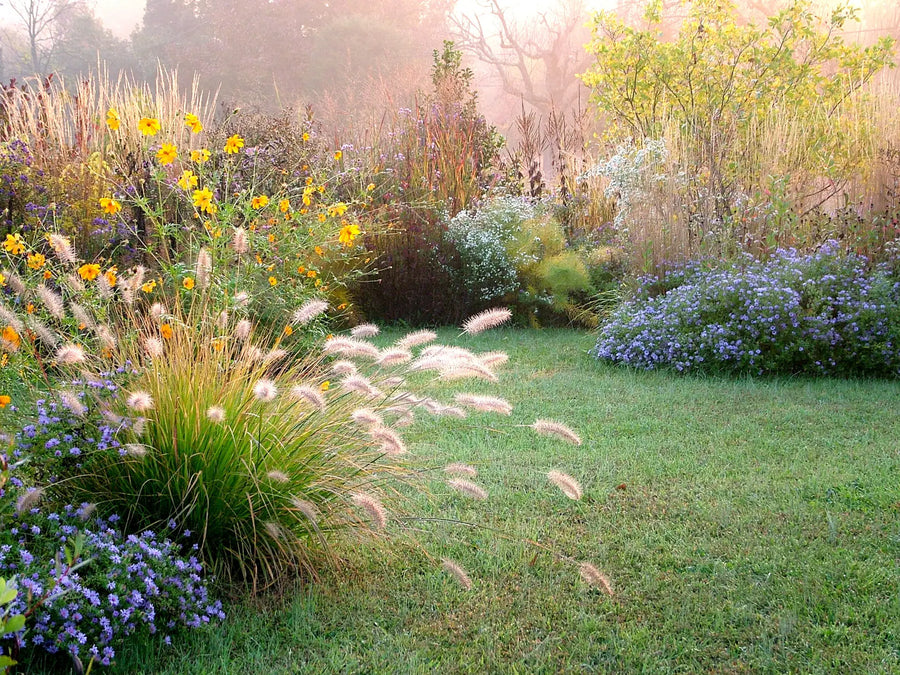 Herbst im Garten: Must-Have Tipps für Deine Oase