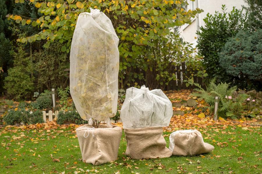 Schutzvlies im Garten: Perfekte Überwinterungshilfe