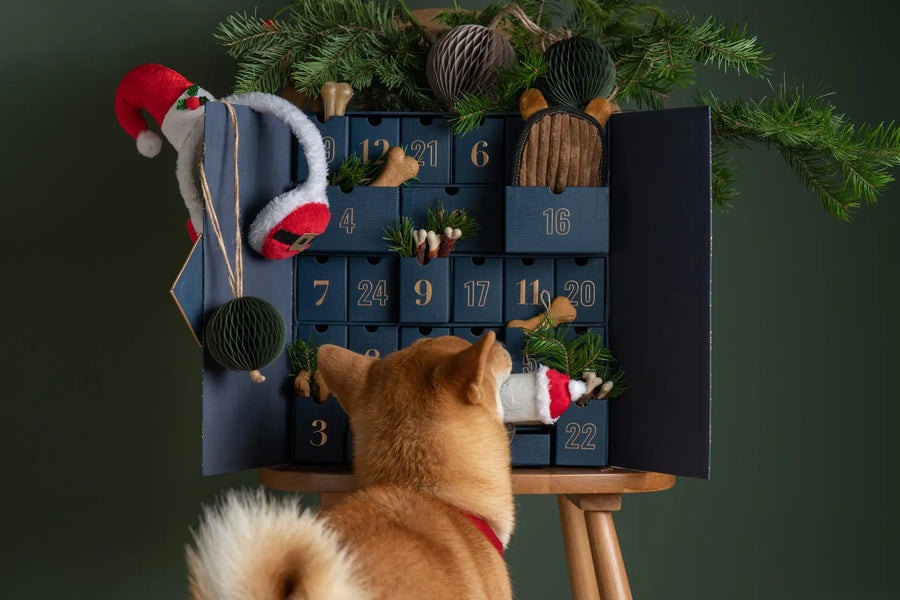 Natürliche DIY Adventskalender – Last Minute Ideen