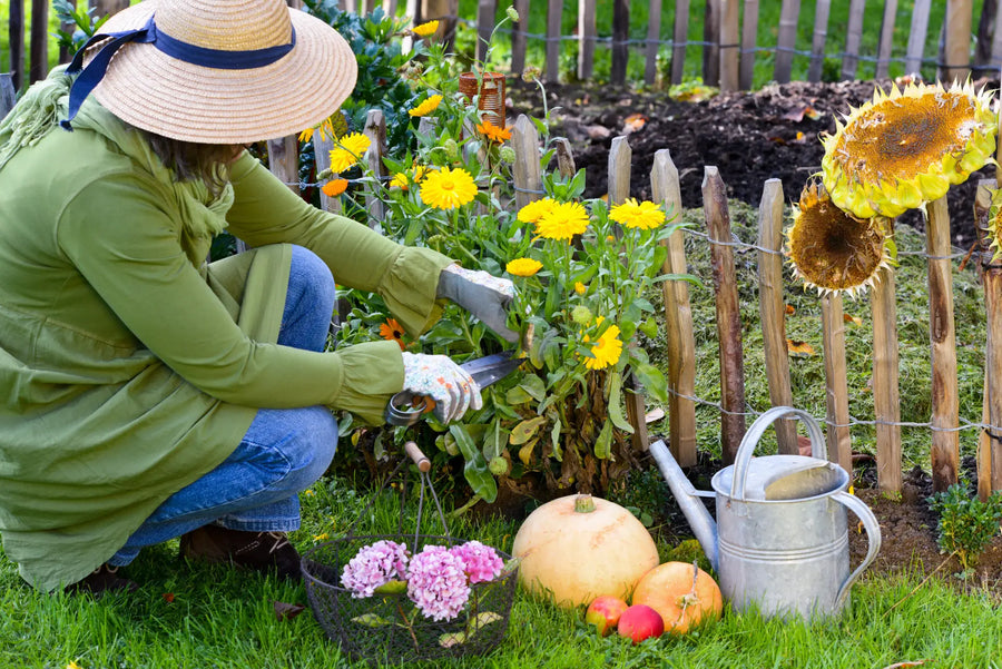 Aussaat im Oktober – Beste Pflanztipps und Tricks