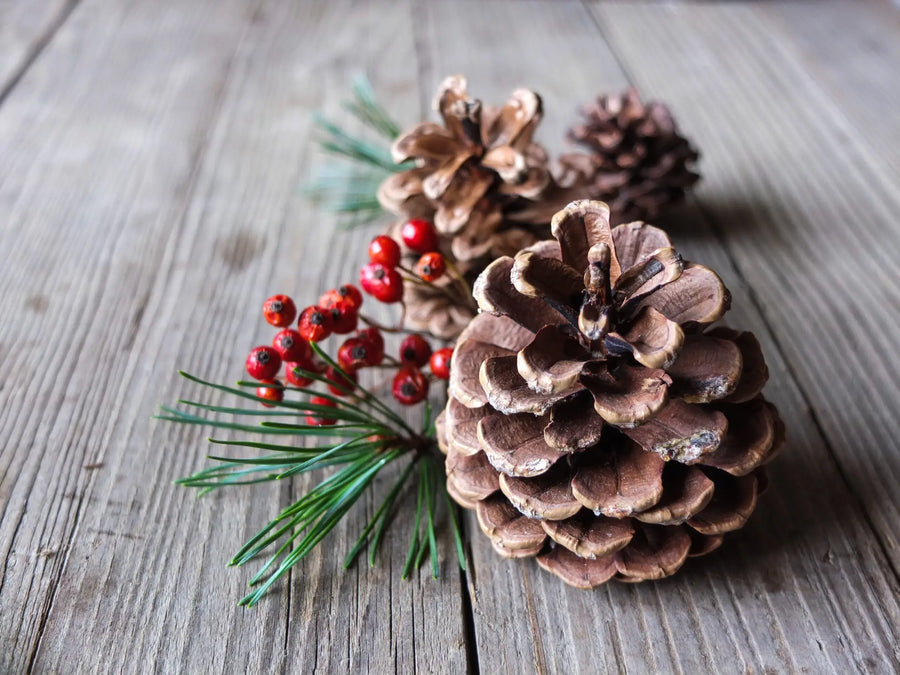 Weihnachtsdeko aus dem Garten – einfach selbst gemacht
