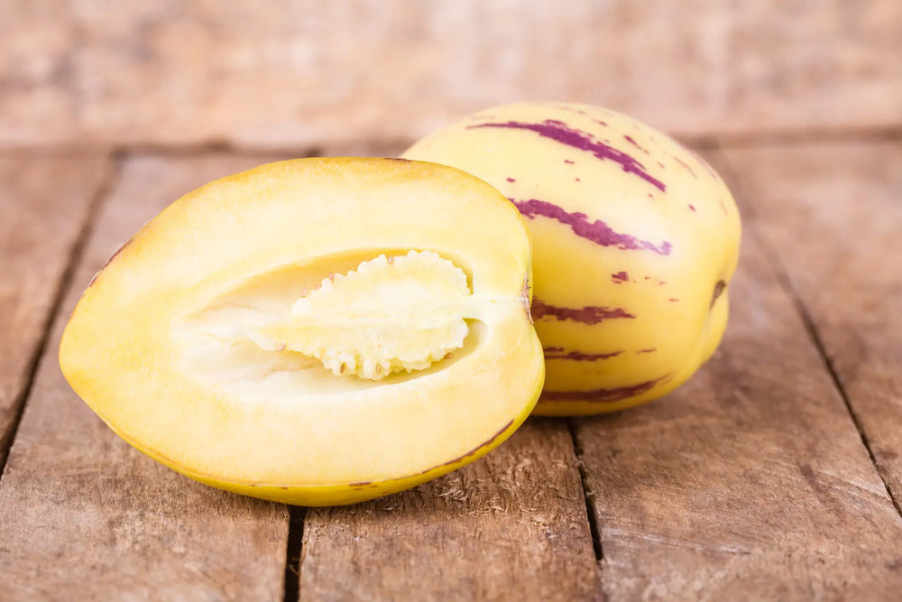 Pepino Melonenbirne: Alles über Pflege und Anbau