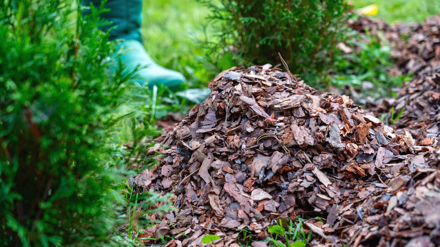 Warum Rindenmulch im Winter wichtig ist