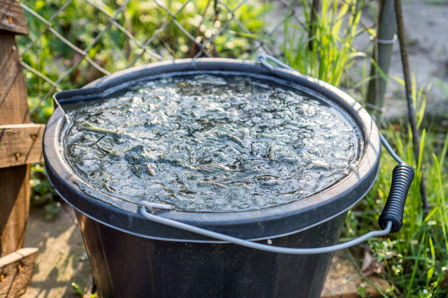 Eimer mit fermentierter Pflanzenjauche zur natürlichen Düngung im Garten