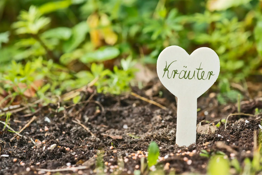 Kräuteraussaat im Juni mit Pflanzschild im Beet und frischer Gartenerde.