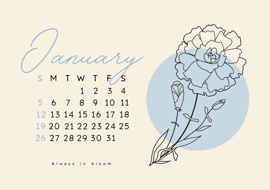 Pflanzkalender für Januar – Starte dein Gartenjahr!