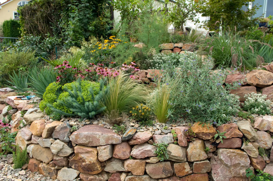 Garten gestalten