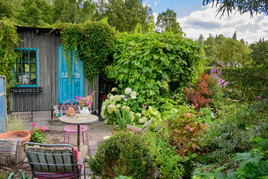 Gartentrend Cottage Garten – Verwandeln Sie Ihr Paradies