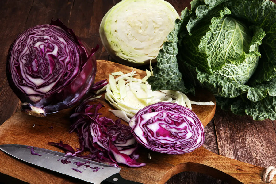 Rezepte mit verschiedenen Sorten Kohl