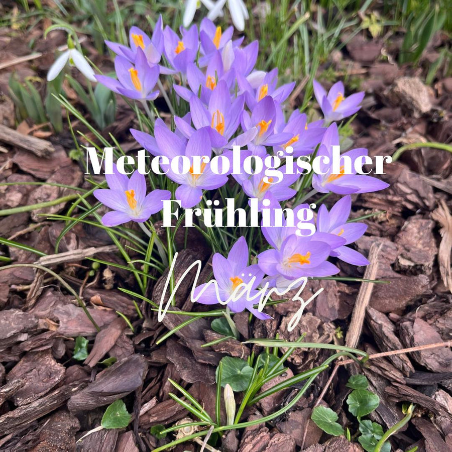 Meteorologischer Frühlingsanfang – Start in den Frühling