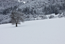 Januar