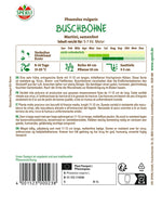 SPERLI Buschbohne Martini
