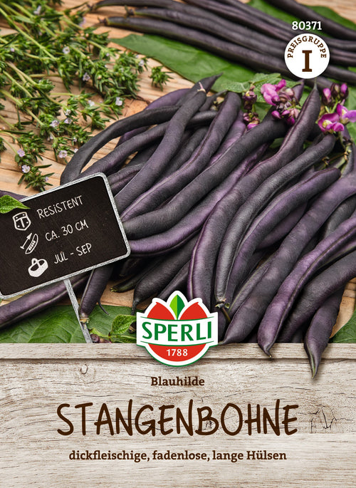 SPERLI Stangenbohne Blauhilde