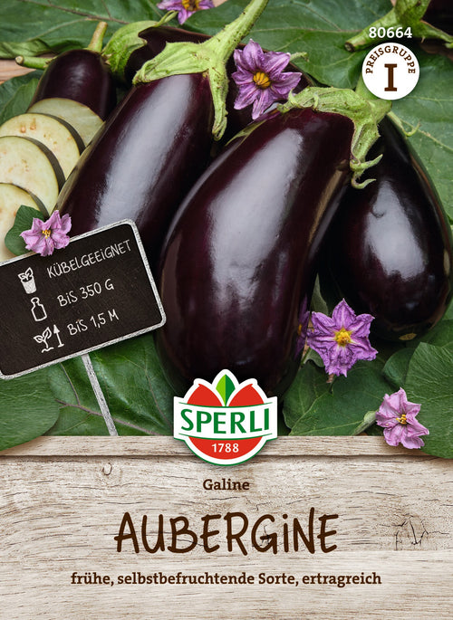SPERLI Aubergine Galine