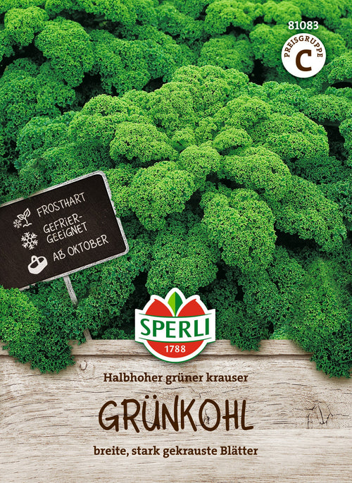 SPERLI Kohl Halbhoher grüner krauser