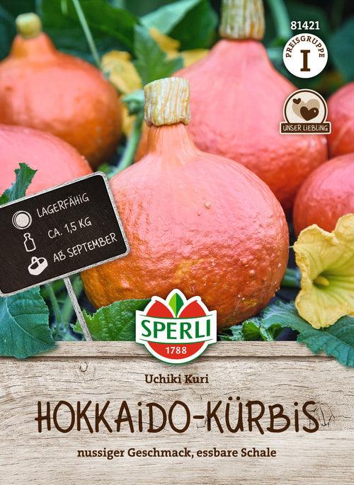 SPERLI Hokkaido-Kürbis Uchiki Kuri