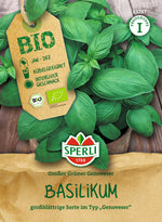 SPERLI BIO Basilikum Großer Grüner Genoveser