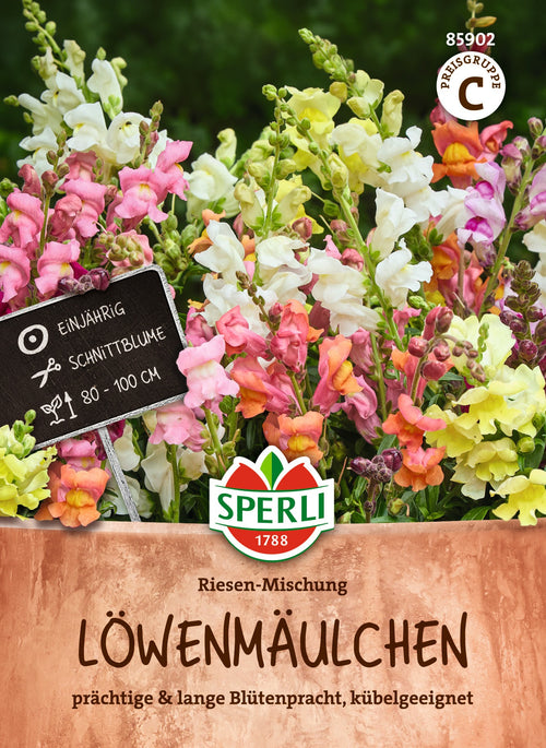SPERLI Löwenmäulchen Riesen-Mischung