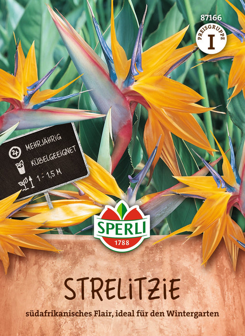 SPERLI Strelitzie