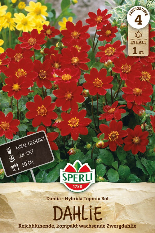 SPERLI Dahlie Dahlie Topmix Red