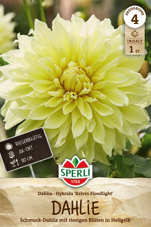 SPERLI Dahlie Kelvin Floodlight