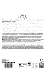 SPERLI Dahlie Thomas A. Edison