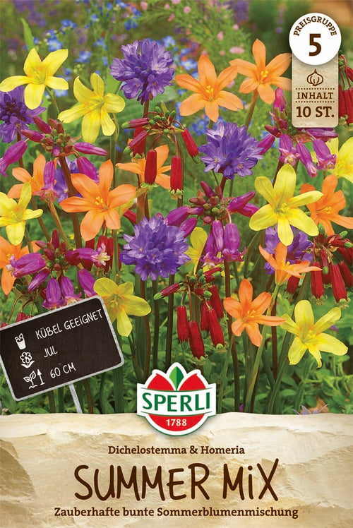 SPERLI Begonie  Summer Mix