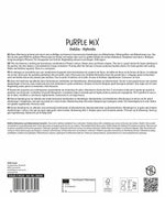 SPERLI Dahlie Purple Mix