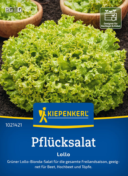 Kiepenkerl Pflück- & Schnittsalat Lollo Bionda