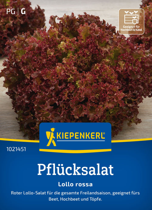 Kiepenkerl Pflück- & Schnittsalat Lollo rossa