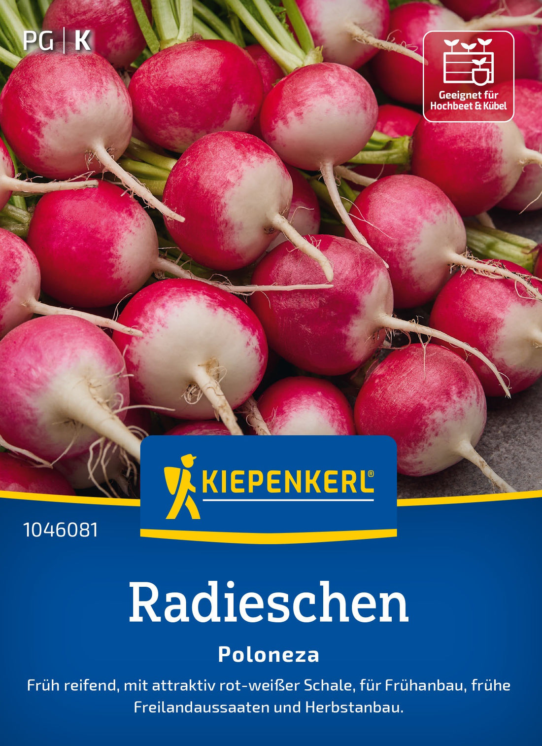 Kiepenkerl Radieschen Poloneza