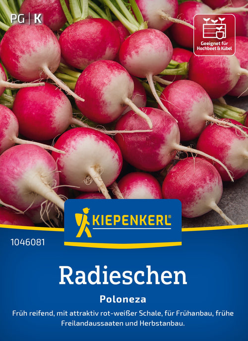 Kiepenkerl Radieschen Poloneza