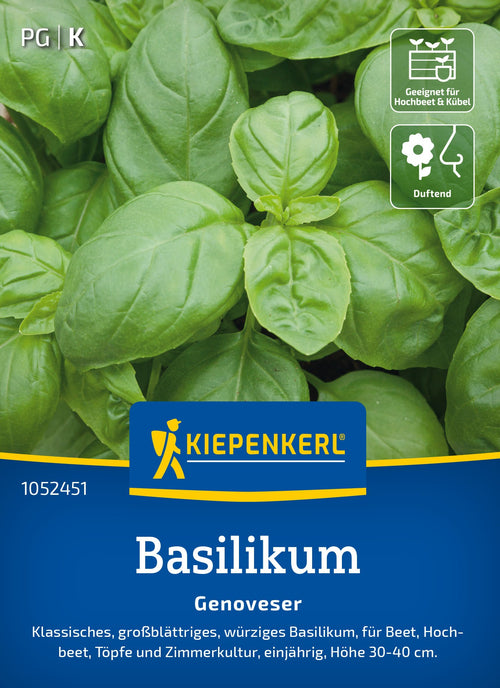 Kiepenkerl Basilikum Genoveser