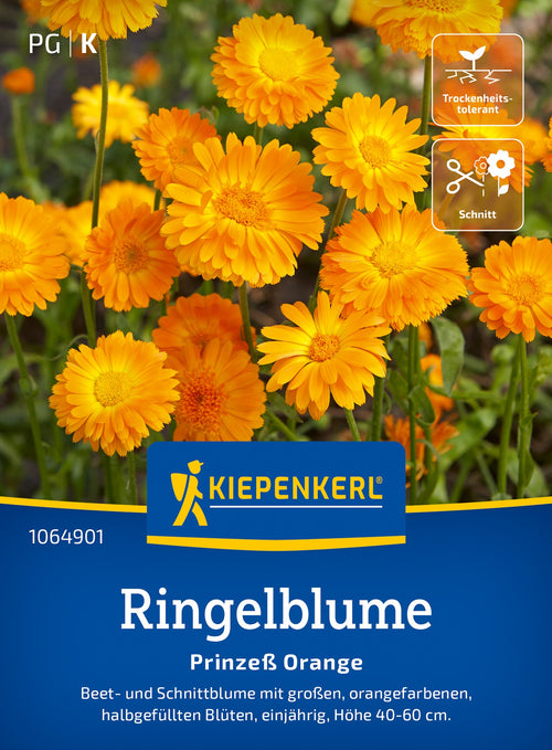 Kiepenkerl Ringelblumen Prinzeß Orange