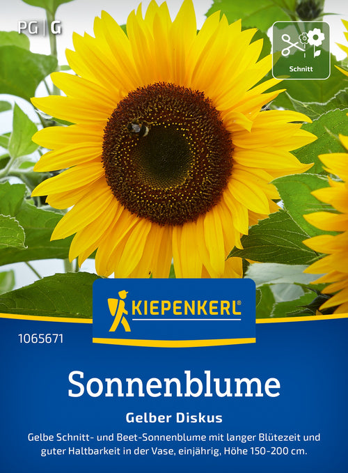 Kiepenkerl Sonnenblumen Gelber Diskus