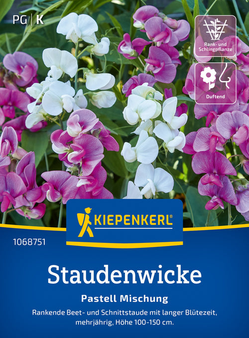 Kiepenkerl Wicken Pastell Mischung