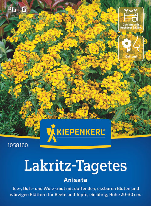 Kiepenkerl Lakritz-Tagetes Anisata