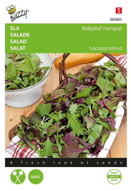 Buzzy Seeds Salat Babyleaf Mischung