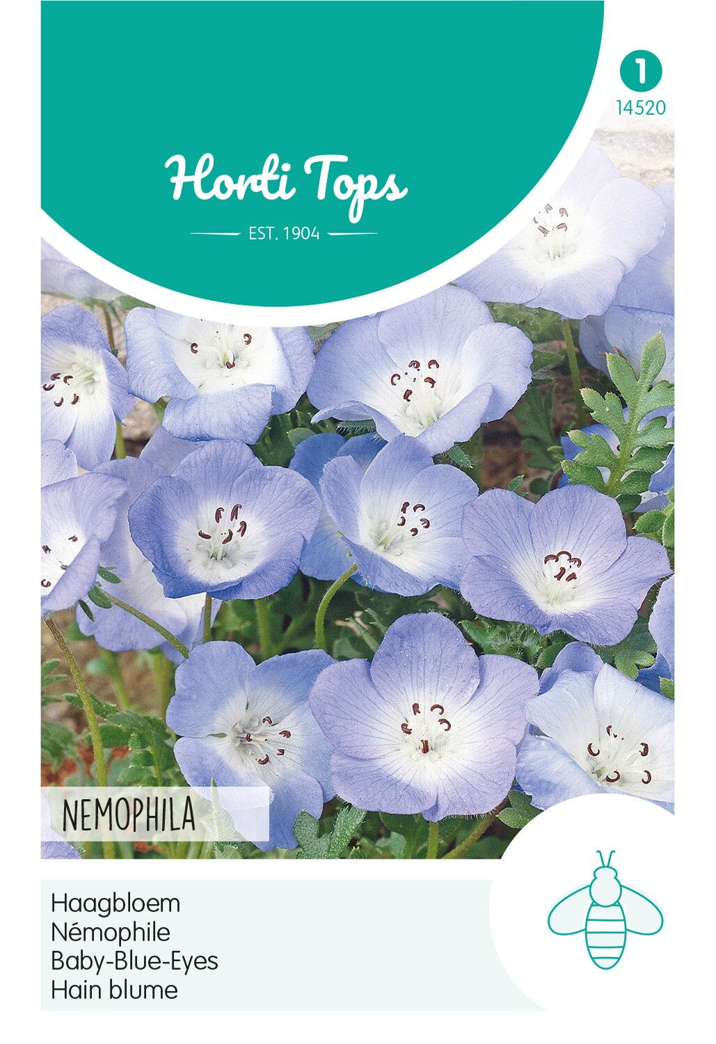 Horti Tops Nemophila Insignis Blau