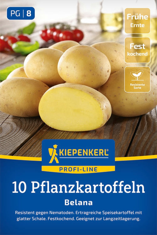 Kiepenkerl Pflanzkartoffel Belana 10 Stück