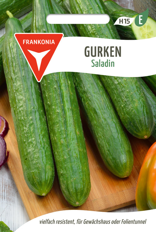 Frankonia Samen Gurke Saladin