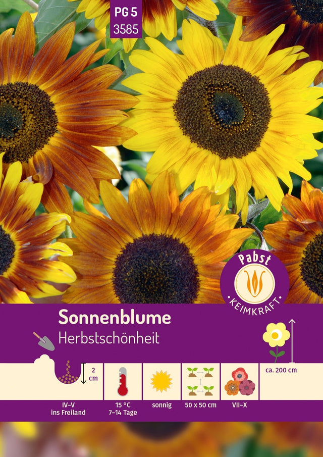 Pabst Keimkraft Sonnenblumen Herbstschönheit Mischung