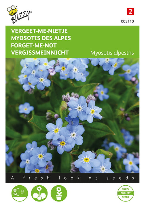 Buzzy Seeds Alpen-Vergissmeinnicht Blau